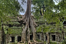 Kambodža z Prahy - letenky do Phnom Penh i do Sem Reap na Angkor od 12890 Kč
