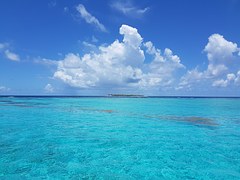 Trinidad a Tobago z Prahy - Exotika jen za 10790 Kč