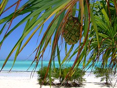 Zanzibar z Prahy - letenky za 13790 Kč