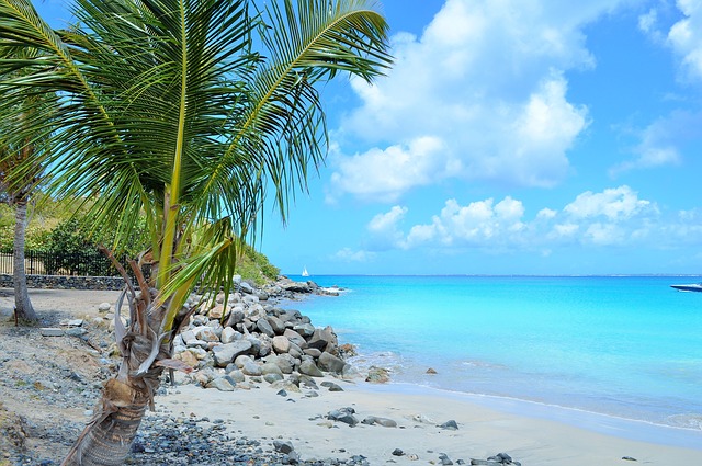 Le Lamentin / Fort de France