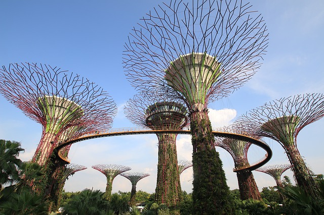 Singapur hl. letiště -
Changi